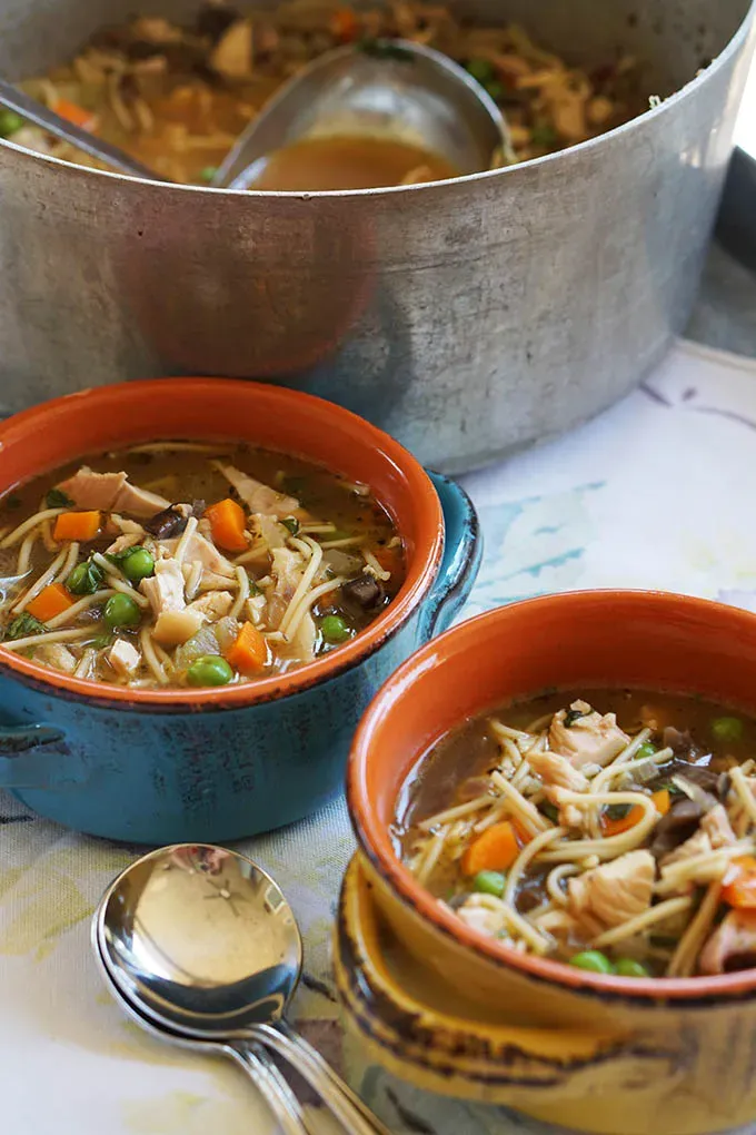 Quick & Easy 20 minute chicken noodle soup recipe