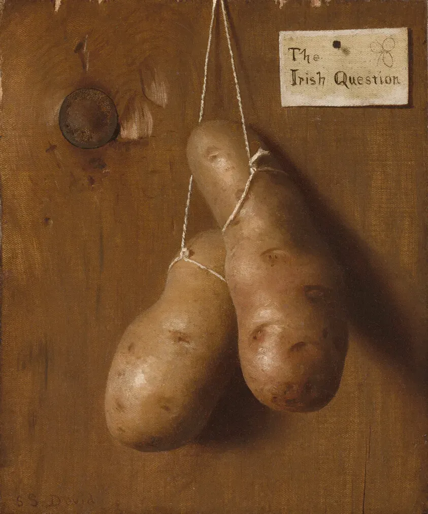 Beyond the Noodle: Why Add Potatoes to Your Chicken Soup?