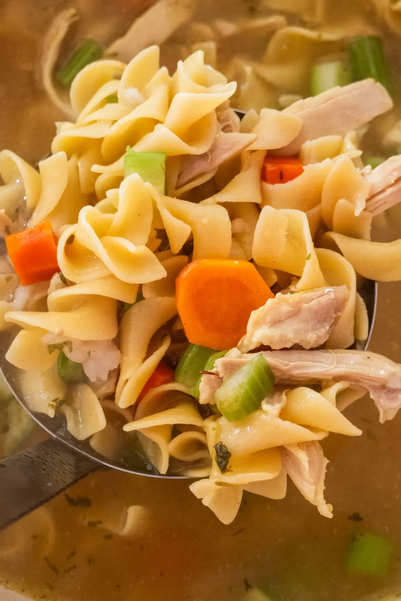 Discover: can i make chicken noodle soup with chicken thighs?