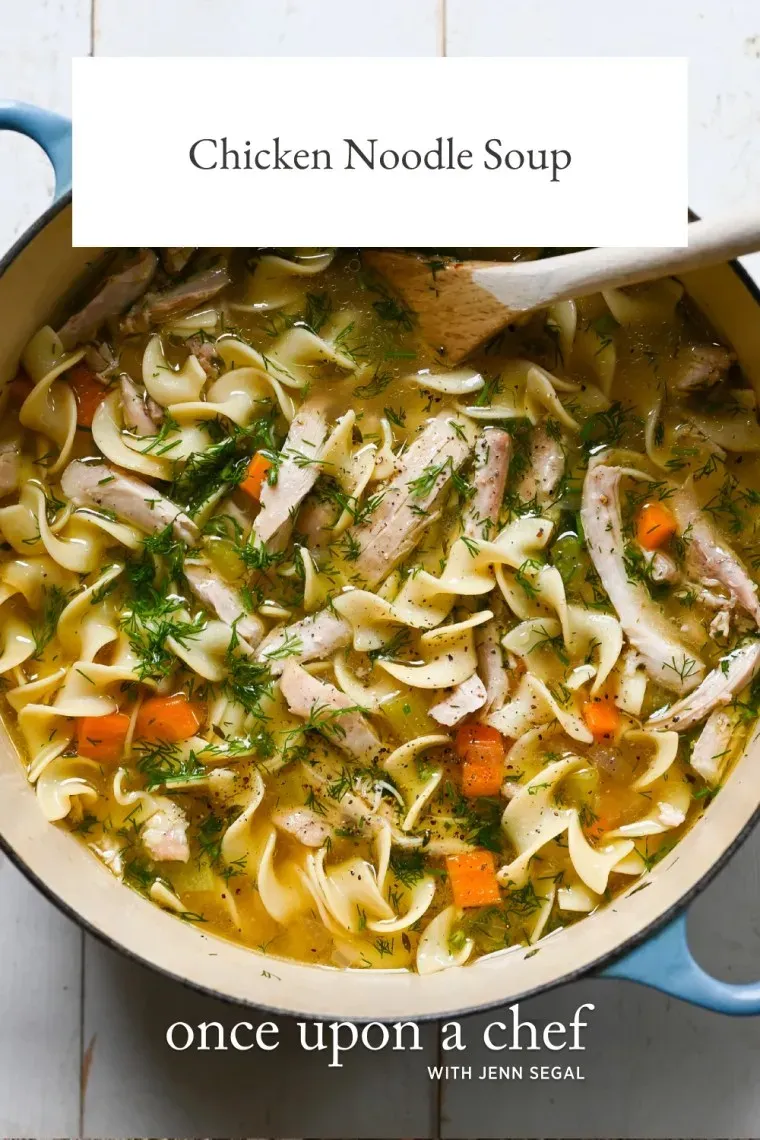 Quick Easy chicken noodle soup recipe once upon a chef