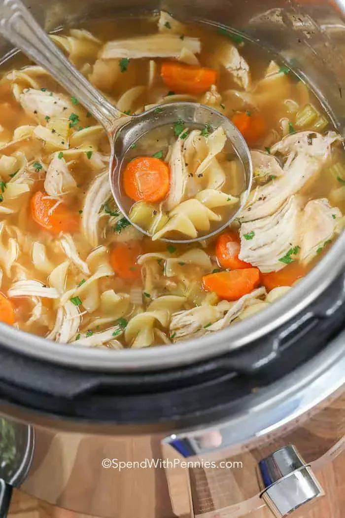 Amazing chicken noodle soup recipe pressure cooker