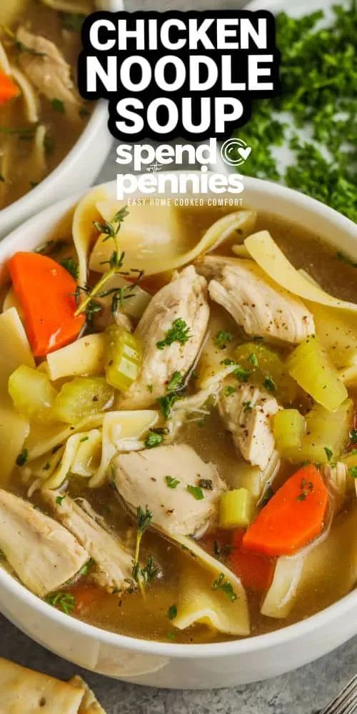 Perfect chicken noodle soup recipe spend with pennies