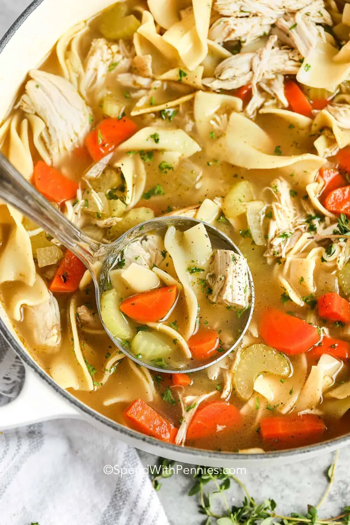 Cooking Your Chicken Noodle Soup: Stovetop, Slow Cooker, & Instant Pot