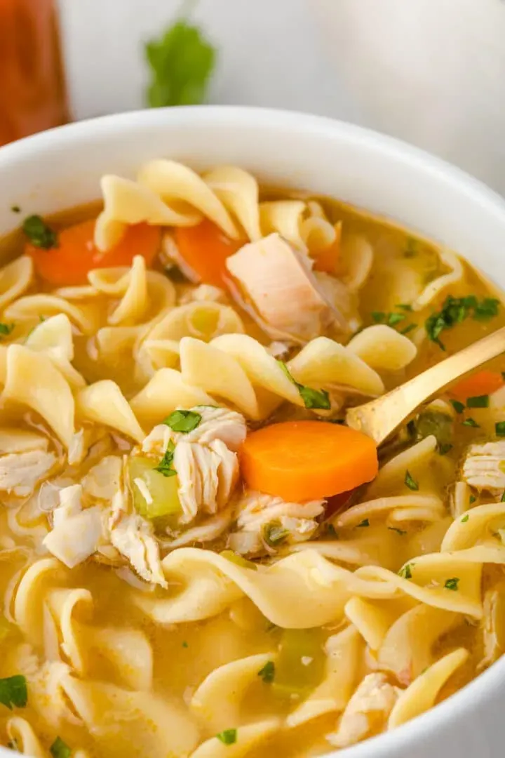 Essential Ingredients for Your Zesty Chicken Noodle Soup