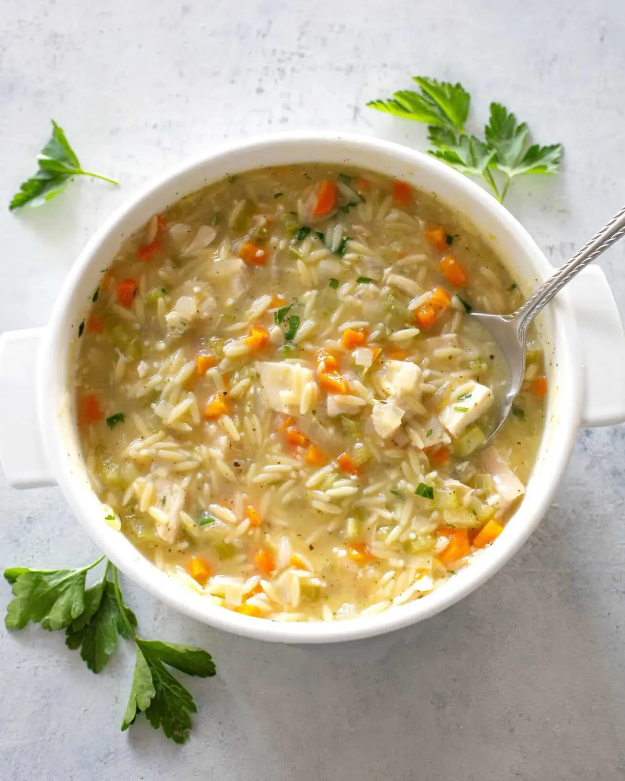 Expert Tips for Your Chicken Noodle Soup with Orzo