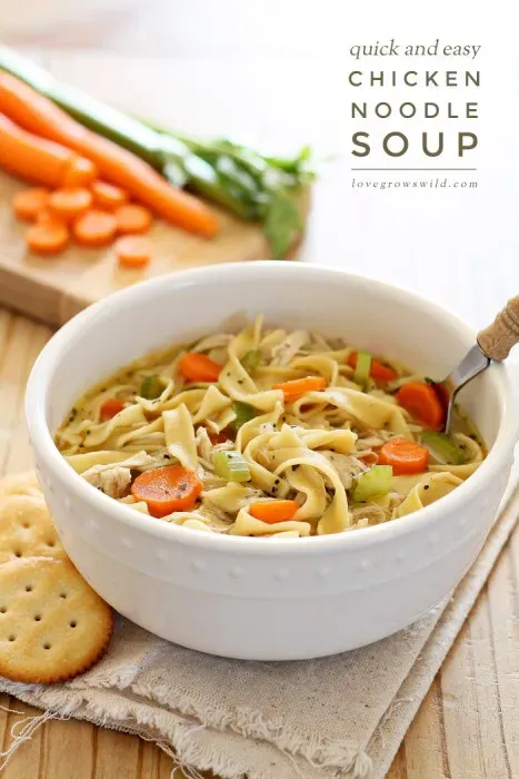 FAQs: Your Fast Chicken Noodle Soup Questions Answered