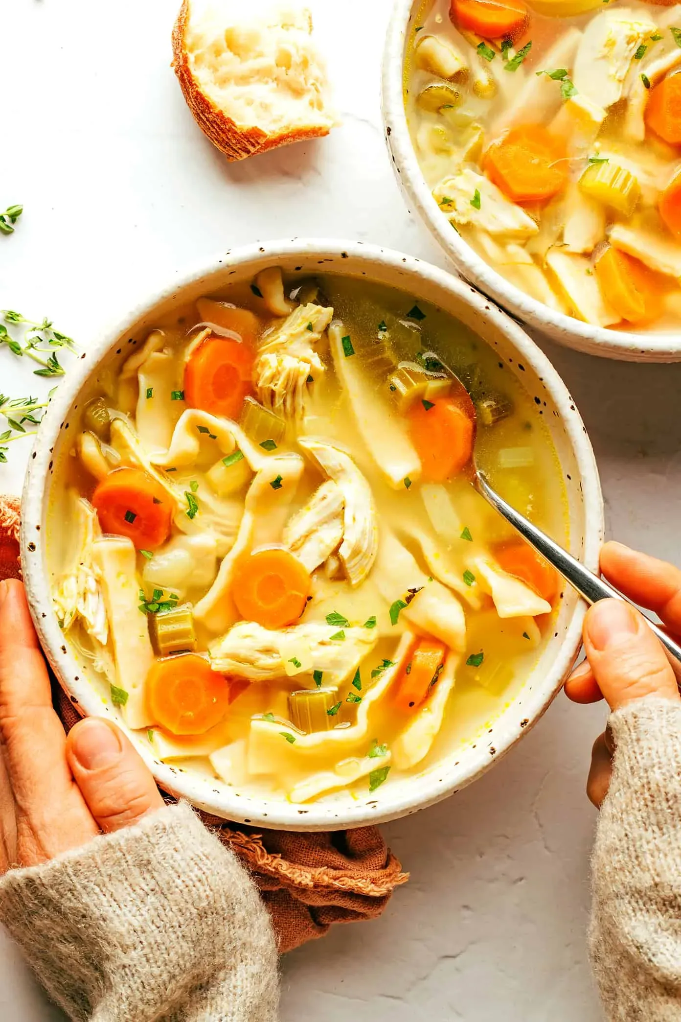 Gathering Your Ingredients for the Yummy Chicken Noodle Soup Recipe