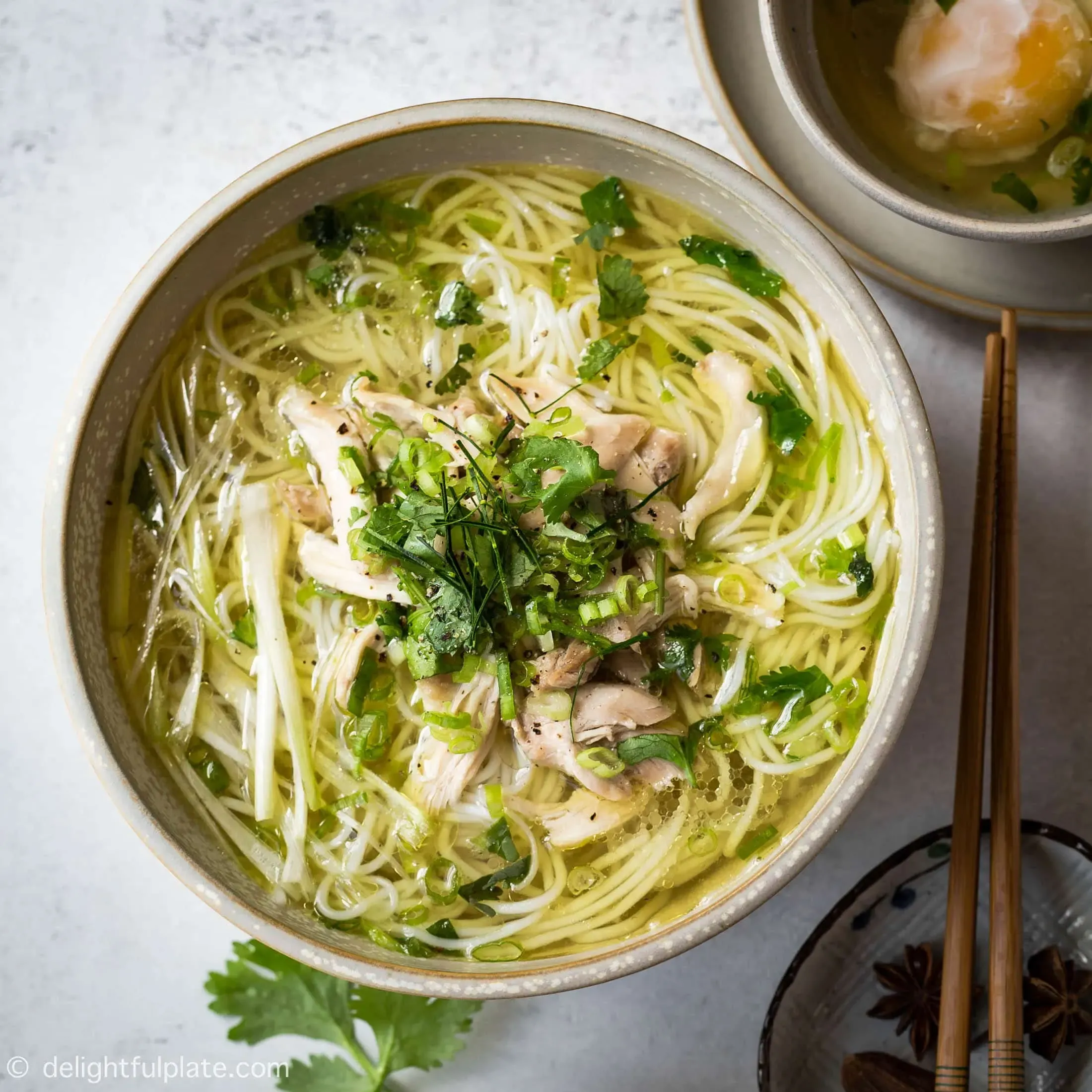 Ingredients for Your Vermicelli Chicken Noodle Soup Recipe