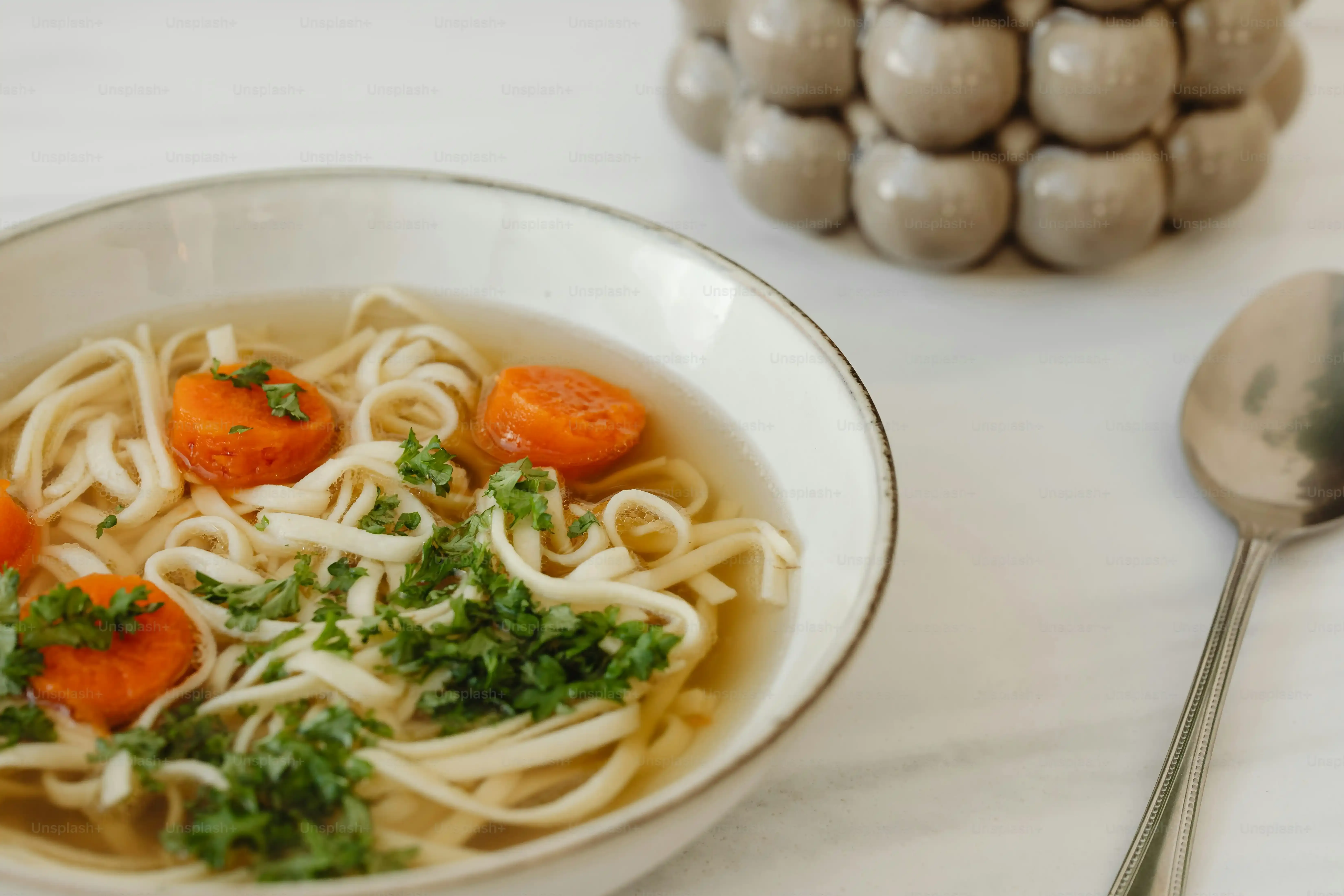 Picking Your Poultry: Chicken for the Best Chicken Noodle Soup Recipe New York Times Might Approve