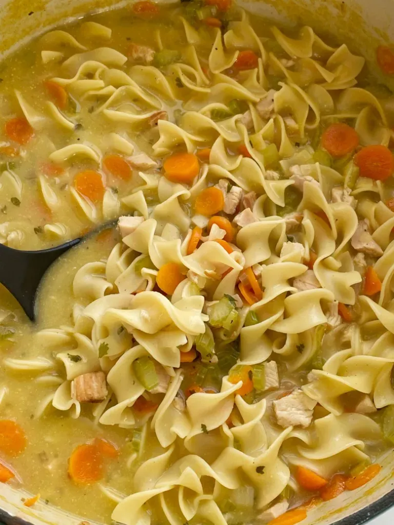 Questions People Ask About OnePot Chicken Noodle Soup
