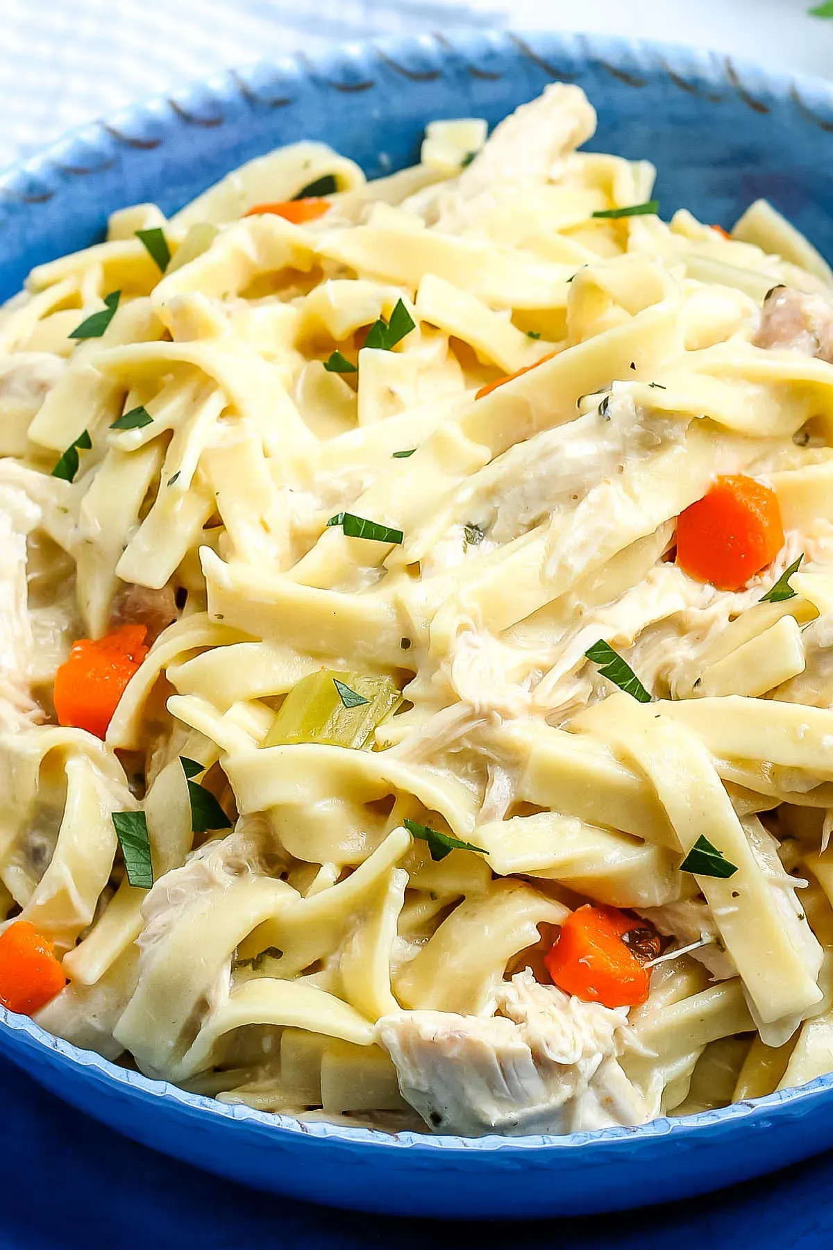 Serving Up Comfort: Enjoying Your Old Fashioned Chicken Noodle Soup