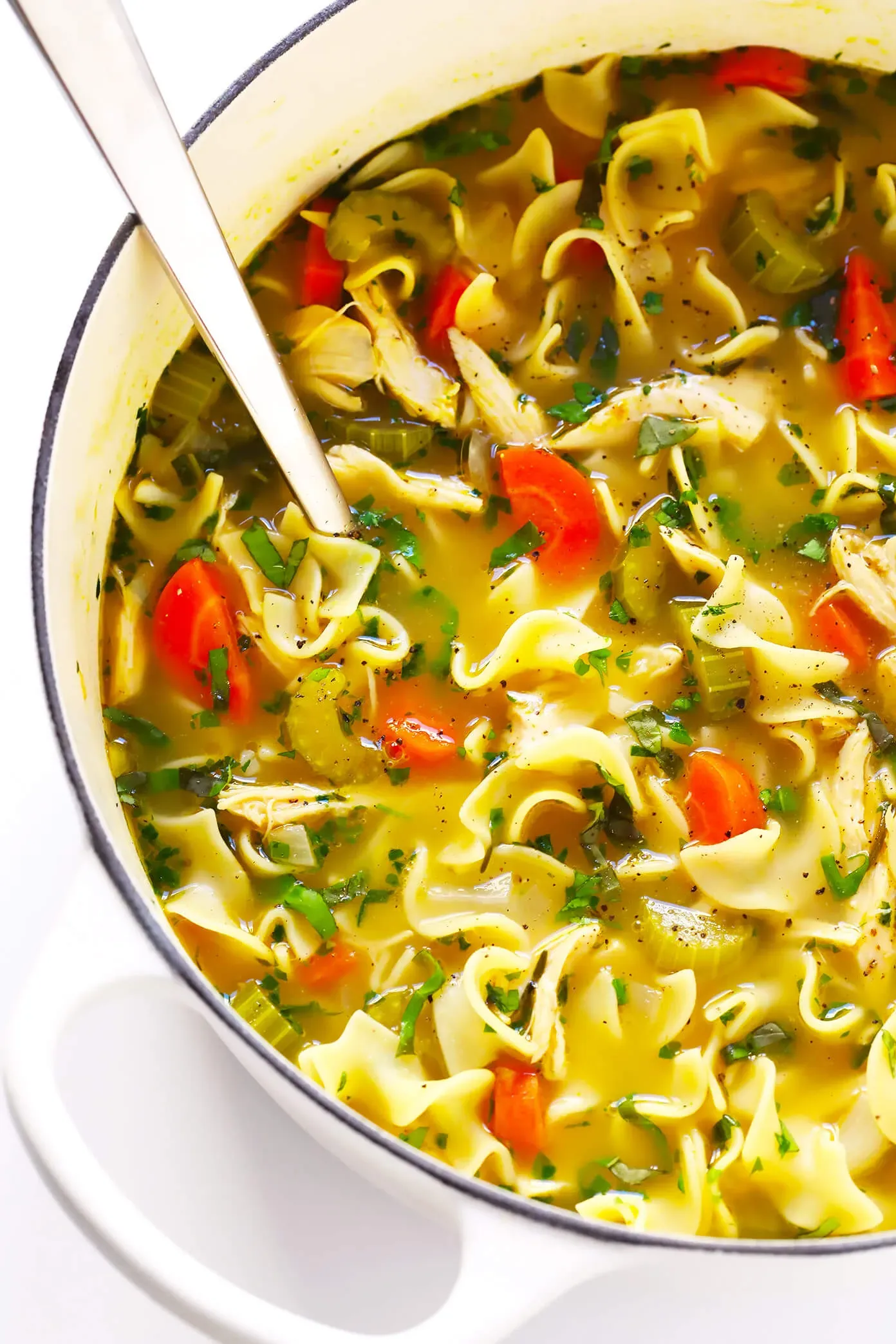 Storing and Reheating Your Delicious Chicken Noodle Soup Recipe