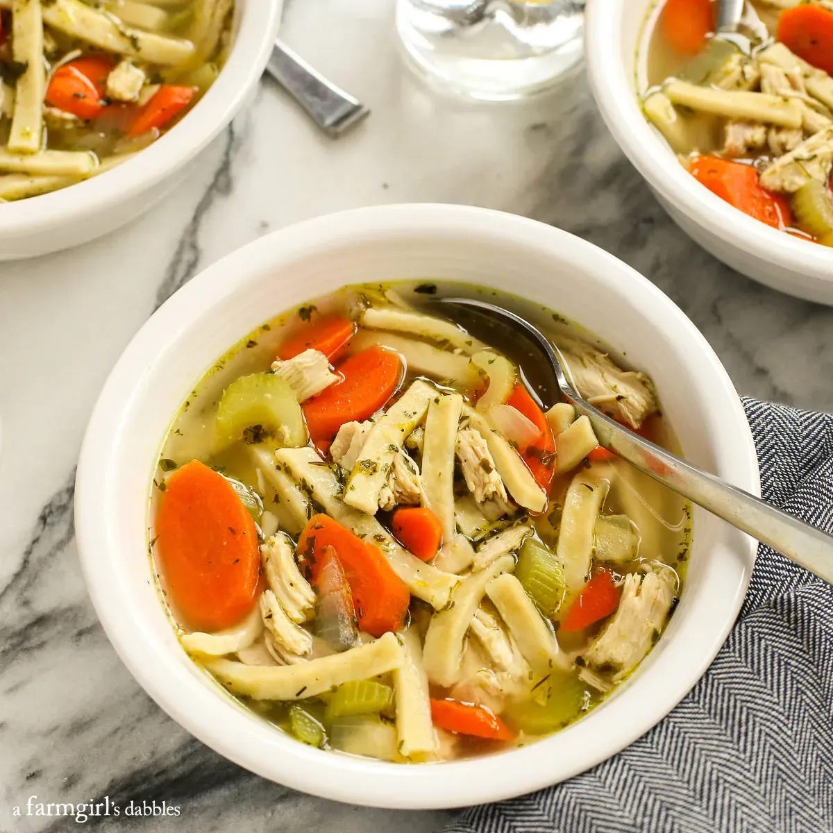 Tips and Twists for Your Chicken Noodle Soup Recipe Reames