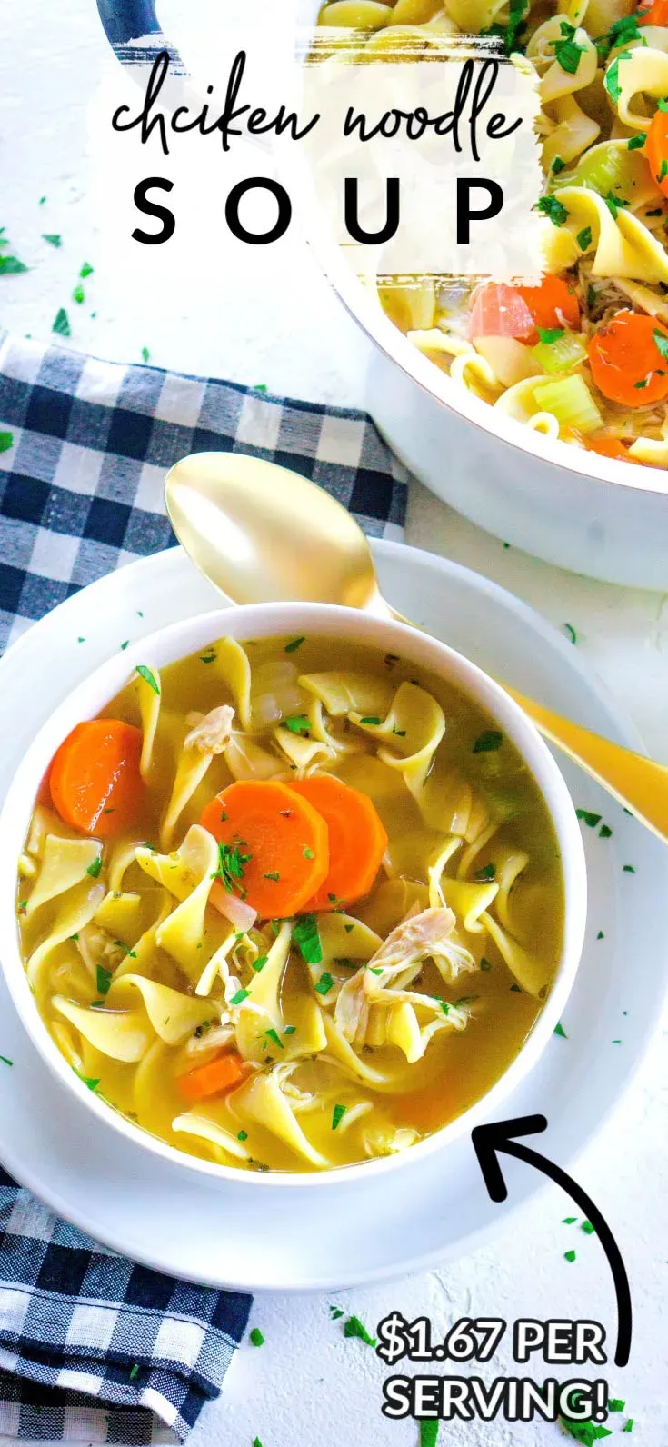 Tips for the Best Rotisserie Chicken Noodle Soup
