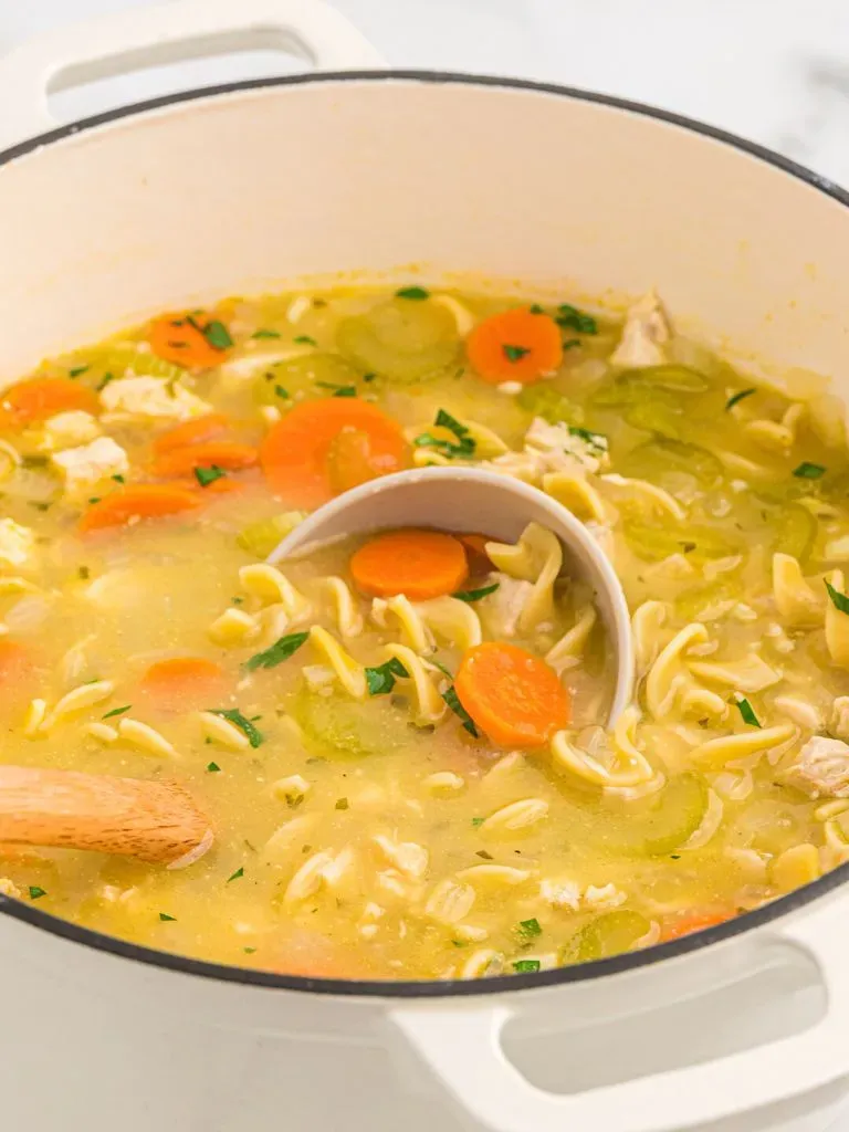 Why a One Pot Chicken Noodle Soup Recipe? Easier Cleanup, That's Why.
